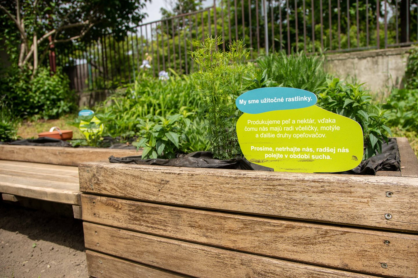 Revitalizácia dvora II, Bratislava