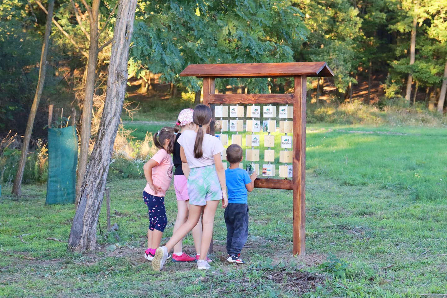 Poznávanie tajomstva našej prírody